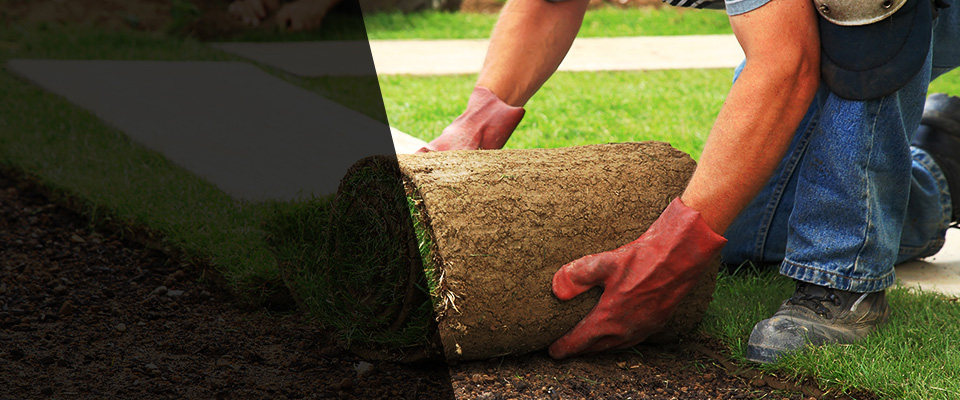 Roebling Landscapers